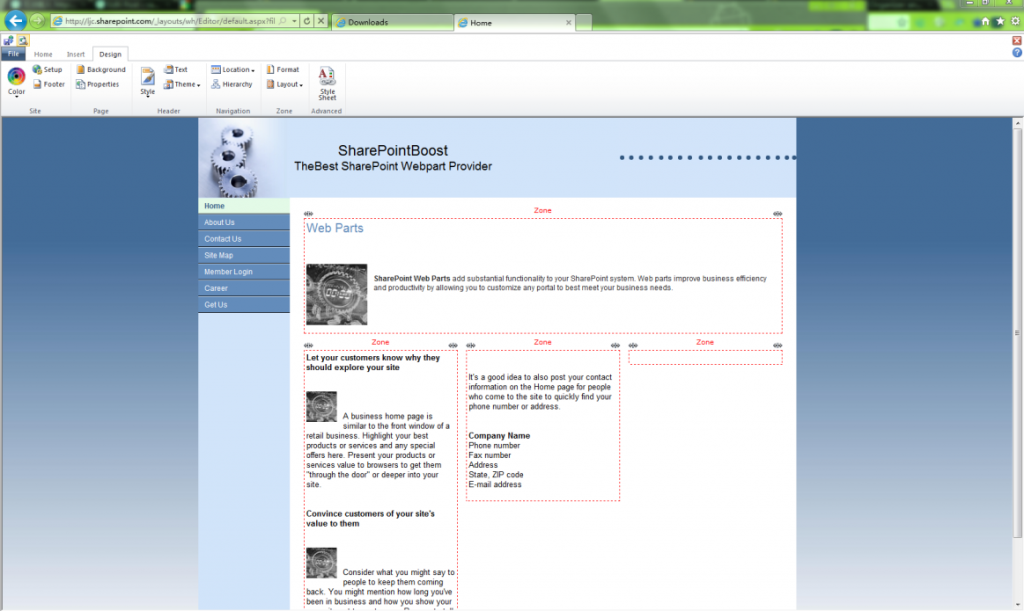Website Design