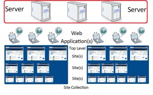 server license