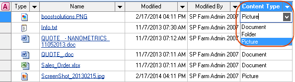 content type-datasheet view-SP2007